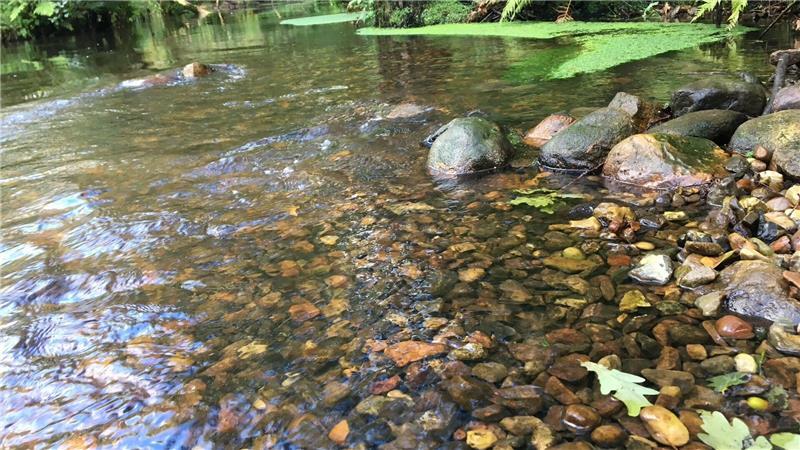 Die Este bei Bötersheim.