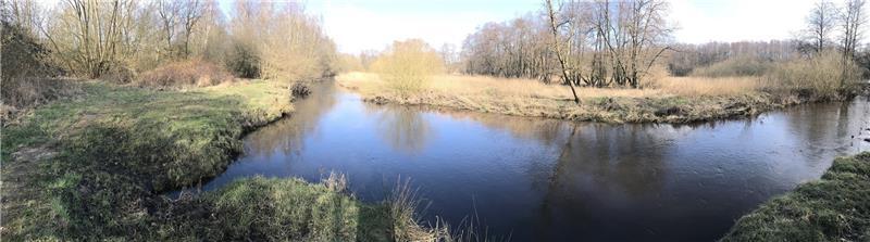 Hochwasserschutz an der Este: Ein kleiner Deich soll Buxtehude schützen Die Estewiesen zwischen Moisburg und Buxtehude können bei der Hochwasserbekämpfung eine zentrale Rolle bekommen. Foto: Wisser