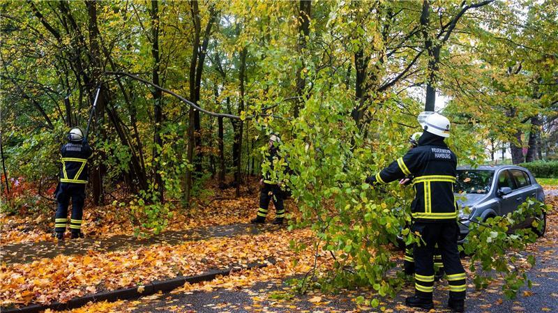 Starker Regen überschwemmt Straßen in Hamburg Die Feuerwehr Hamburg räumt einen Ast von der Straße, der bei kräftigem Regen und Wind abgeknickt ist.