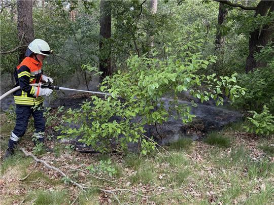 Die Feuerwehr bei den Löscharbeiten in Volkensen (Kreis Rotenburg).