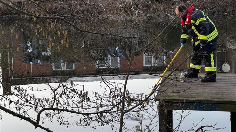 Die Feuerwehr entnahm Wasserproben: Vom Teich...