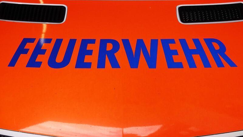 „Leblose Katze“ erweist sich als schlafender Waschbär Die Feuerwehr in Hamburg ist einem Hinweis einer Passantin nachgegangen. (Symbolbild)