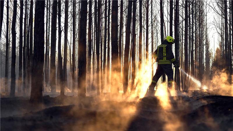 Bilder des Tages Die Feuerwehr ist beschäftigt mit Nachlöscharbeiten nach dem Waldbrand bei Sonnewalde.