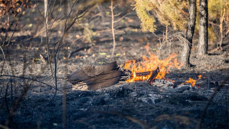 Waldbrand: „Bitte verzichten Sie möglichst aufs Duschen“ Die Feuerwehr kämpft im Tagesverlauf gegen Glutnesters.