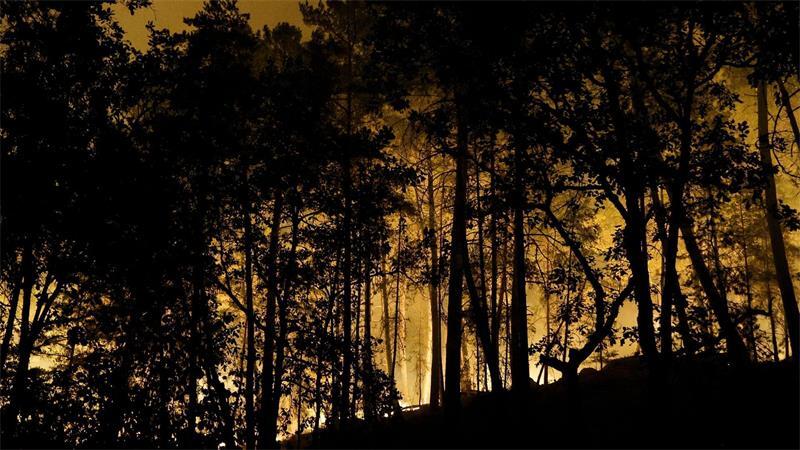 Die Feuerwehr kämpft mit rund 400 Kräften und Löschflugzeugen gegen den Brand im Wald von Fontainebleau. 