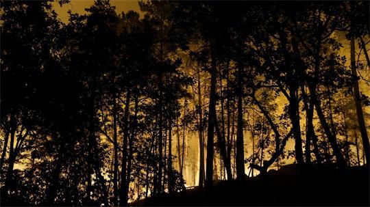 Die Feuerwehr kämpft mit rund 400 Kräften und Löschflugzeugen gegen den Brand im Wald von Fontainebleau. 