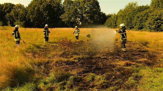 Die Feuerwehr musste in Himmelpforten einen Vegetationsbrand löschen.