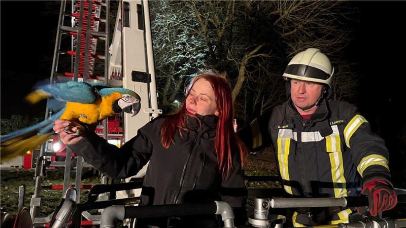 Die Feuerwehr rückte in luftige Höhe aus - für einen tierischen Ausreißer.