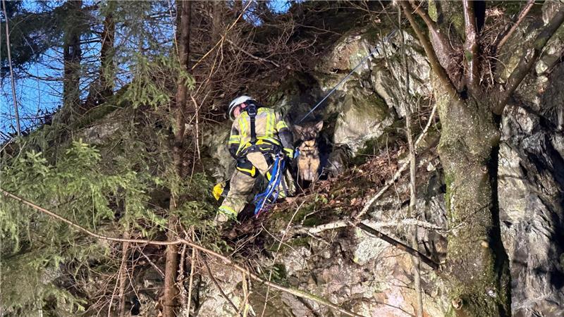 Die Feuerwehr sicherte den Hund.