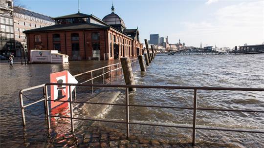 Die Feuerwehr suchte in der Nähe der Fischauktionshalle nach einem vermissten Angler. (Symbolfoto)