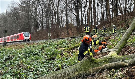 Die Feuerwehr zersägt einen Baum, der auf die Bahnlinie gefallen ist. Die S-Bahn hatte die Krone der Esche gestreift.