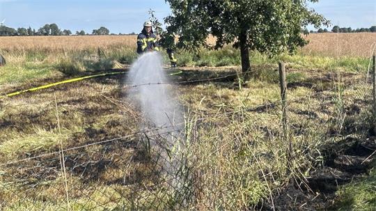 Die Feuerwehren Oederquart, Krummendeich, Freiburg, Balje und Balje-Hörne waren im Einsatz.