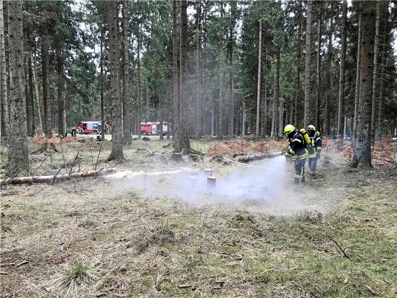 Die Feuerwehren im Landkreis warnen seit Anfang April vor der Brandgefahr im Wald. Foto: Archiv/Feuerwehr