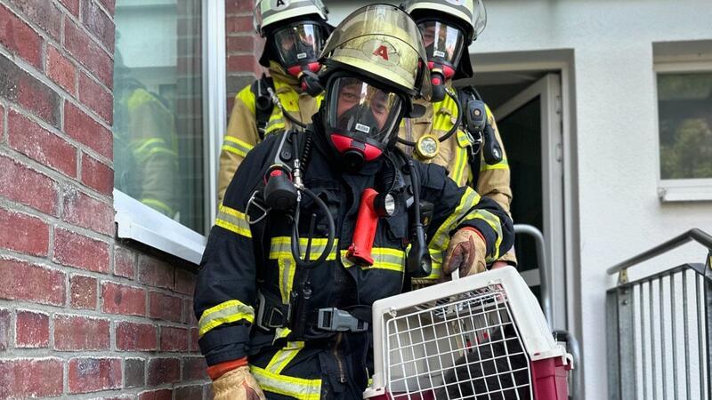 Feuerwehr Stade rettet Katze aus Qualm-Wohnung Die Feuerwehrleute von Zug I konnten die Katze wohlbehalten Verwandten der Mieter übergeben.