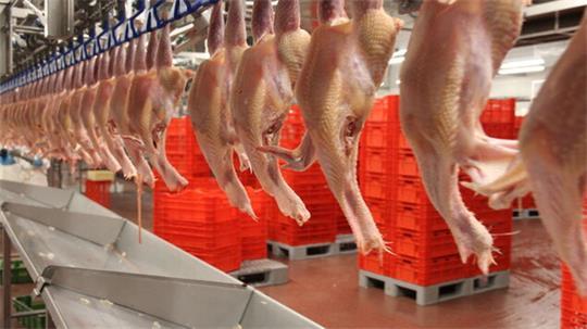 Die Firma Geti Wilba ist auf Geflügelprodukte spezialisiert. Eigentlich sollte die Produktion von Bremervörde nach Cuxhaven-Altenwalde verlegt werden, aber der Umzug ist vorerst gestoppt. 