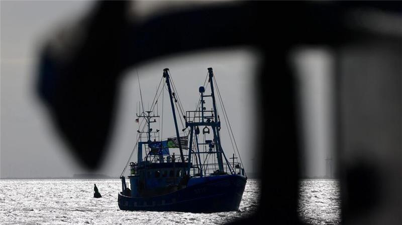 Fischereiverband: Günther muss ein Machtwort sprechen Die Fischer im Land sehen die geplanten Schutzgebiete in der Ostsee als existenzielle Bedrohung. (Symbolbild)