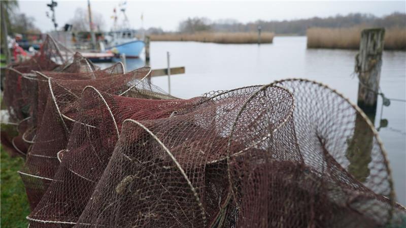 Die Fischer vertrauten darauf, dass die festgelegten Fangmengen nachhaltig seien. (Symbolbild)