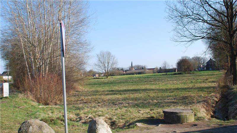 Die Fläche für das geplante Neubaugebiet - im Hintergrund der Kirchturm von Apensen.