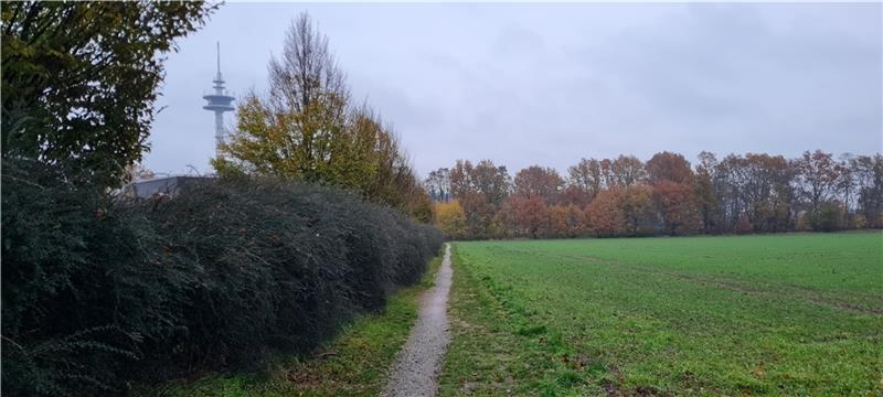 Die Fläche rechts schließt sich an Baugebiet Waageweg (links) an. Hierfür soll nun ein B-Plan aufgestellt werden. Foto: Beneke