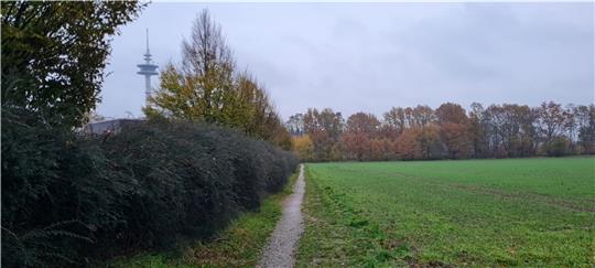 Die Fläche rechts schließt sich an Baugebiet Waageweg (links) an. Hierfür soll nun ein B-Plan aufgestellt werden. Foto: Beneke
