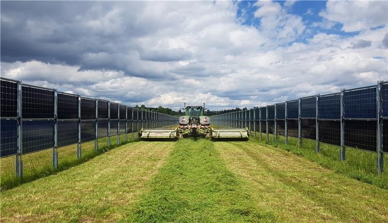 Die Flächen zwischen vertikalen Solaranlagen können weiter landwirtschaftlich genutzt werden. Foto: Next2Sun