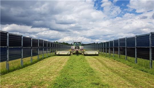 Die Flächen zwischen vertikalen Solaranlagen können weiter landwirtschaftlich genutzt werden. Foto: Next2Sun