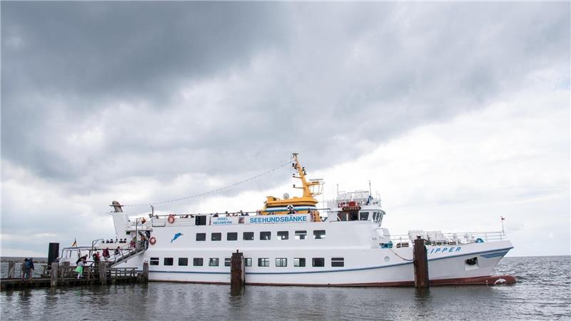 Die Flipper ist im Hafen von Neuwerk auf eine Sandbank gelaufen. Foto: Daniel Bockwoldt/dpa (Archiv)