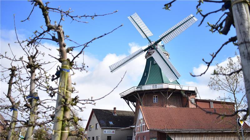 Die Flügel der Venti Amica in Twielenfleth sind gen Norden ausgerichtet. Bald muss die Windmühle erneut saniert werden.