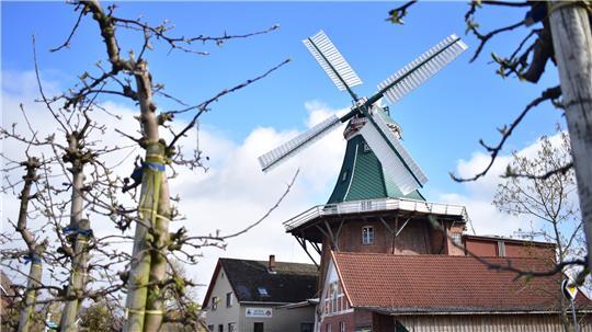 Die Flügel der Venti Amica in Twielenfleth sind gen Norden ausgerichtet. Bald muss die Windmühle erneut saniert werden.