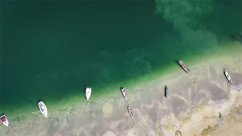 Niedriger Pegelstand setzt Bodensee zu Die Folgen des Niedrigwassers sind deutlich sichtbar.