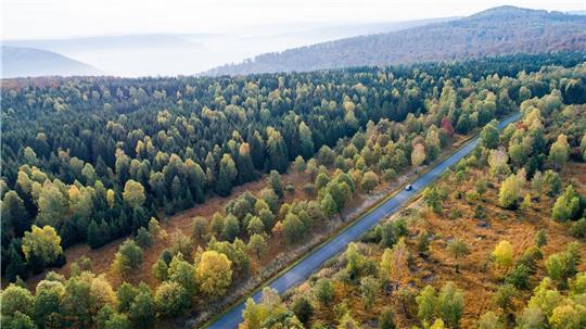 Die Forschenden empfehlen verschiedene Varianten, um das Klima zu schützen. (Symbolbild)