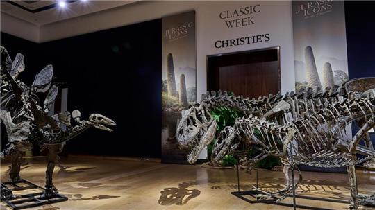 Die Fossilien sind schätzungsweise 157 bis 145 Millionen Jahre alt. 