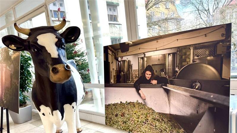Ausstellung zu Frauen in der Landwirtschaft endet mit Appell Die Fotoausstellung zeigt verschiedene Landwirtinnen bei ihrer Arbeit.