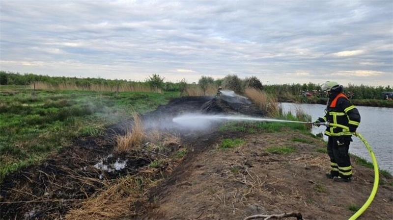 Die Freiwillige Feuerwehr Lühe konnte den Flächenbrand löschen.