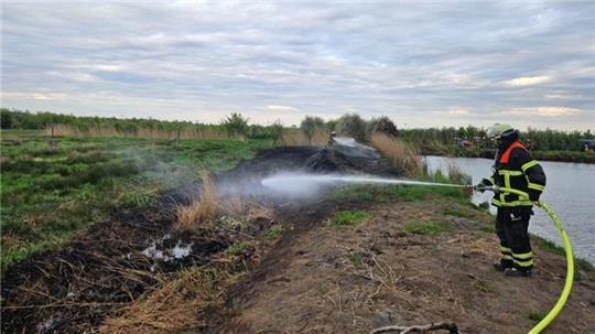 Die Freiwillige Feuerwehr Lühe konnte den Flächenbrand löschen.