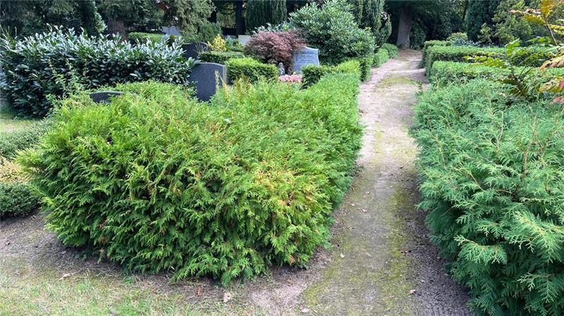 Diese Neuerungen sind für den Nottensdorfer Friedhof geplant Die Friedhofswege variieren aktuell stark in Breite und Begehbarkeit.