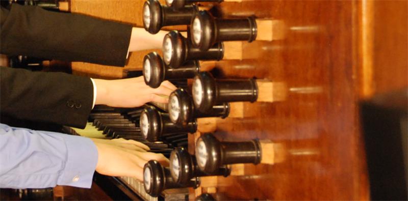 Die Furtwängler-Orgel in der St. Petri-Kirche. Archivfoto Felsch