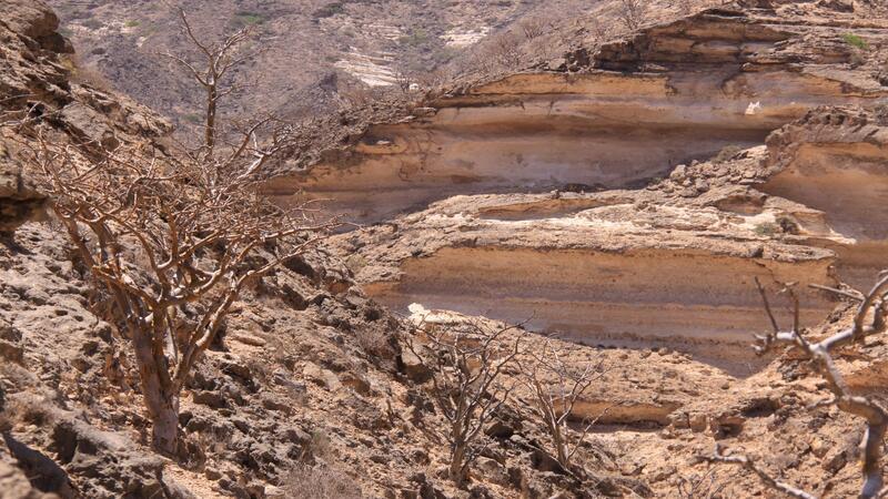 Wandergruppe im Oman gerät in schwere Regenfälle - vier Tote Die Gebirge im Oman ziehen viele Wander-Touristen an