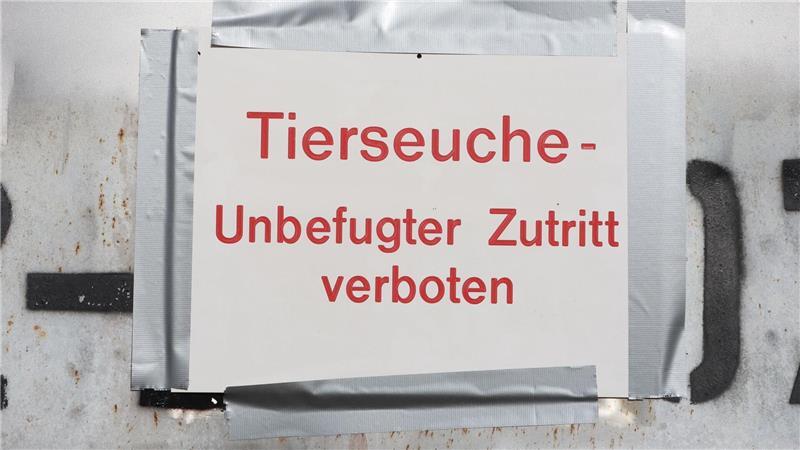 Vogelgrippe breitet sich aus – Stallpflicht greift Die Geflügelpest versetzt Behörden und Landwirte in Alarmbereitschaft. (Archibbild)
