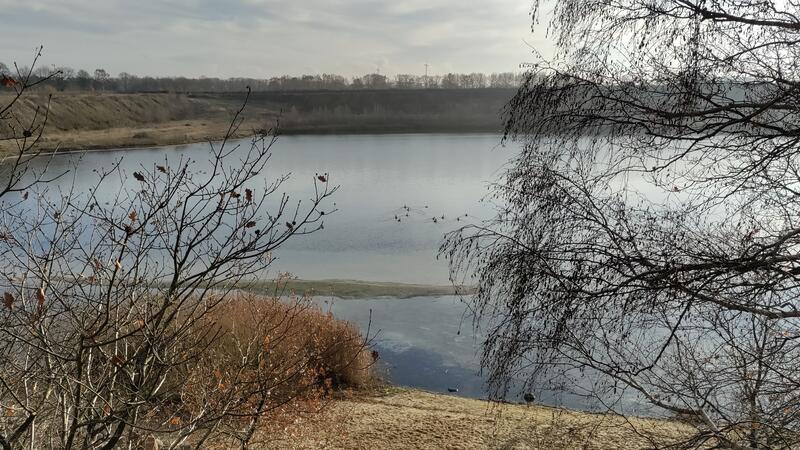 Häuser und Wohnungen: So steht es um Horneburgs zentrale Bauprojekte Die Gemeinde plant weiterhin einreihige Wohnbebauung am Baggersee, doch die Anwohner sind dagegen.