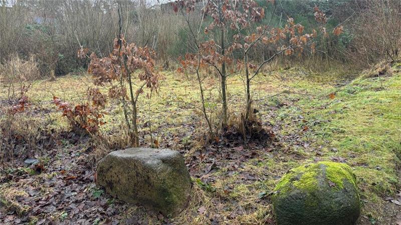 Die Gemeinde wollte das Grundstück gerne für eine Erweiterung der Kita einplanen. Daraus wird jedoch vorerst nichts.
