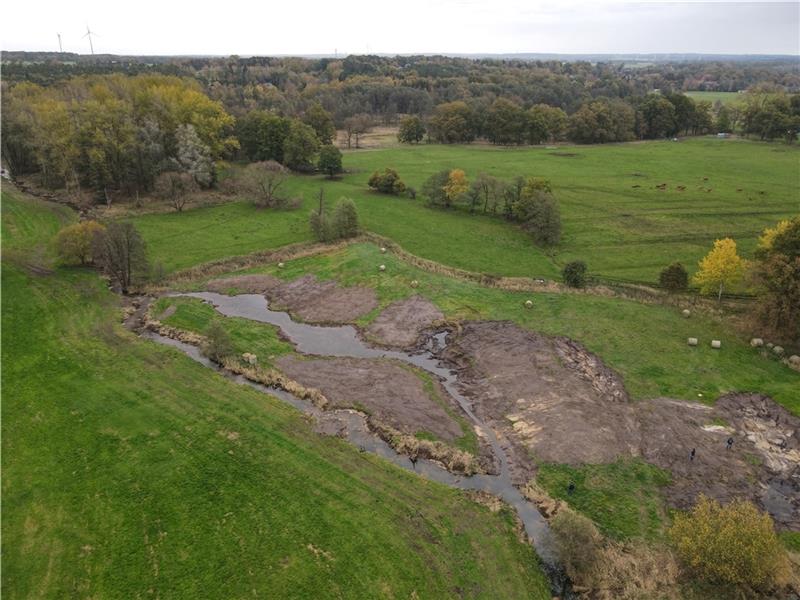 Die Goldbeck - der Goldbach - plätschert wieder als kleiner Heidefluss durch die Wiesen. Foto: Landkreis Harburg