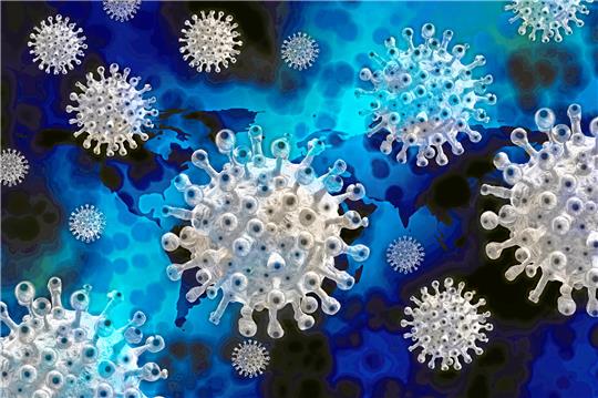 Die Grafik zeigt das Corona-Virus, das die Covid-Erkrankung auslöst. Das Virus grassiert weiter, betroffen sind auch viele Altenheime. Foto: Pixabay