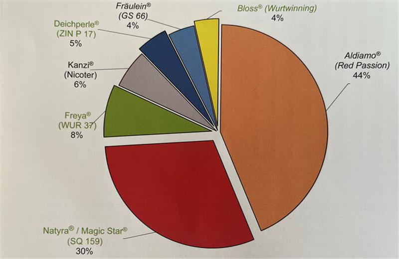 Die Grafik zeigt die Anteile der Sorten bei den Apfelbaumverkäufen aus den geschlossenen Vermarktungskonzepten.