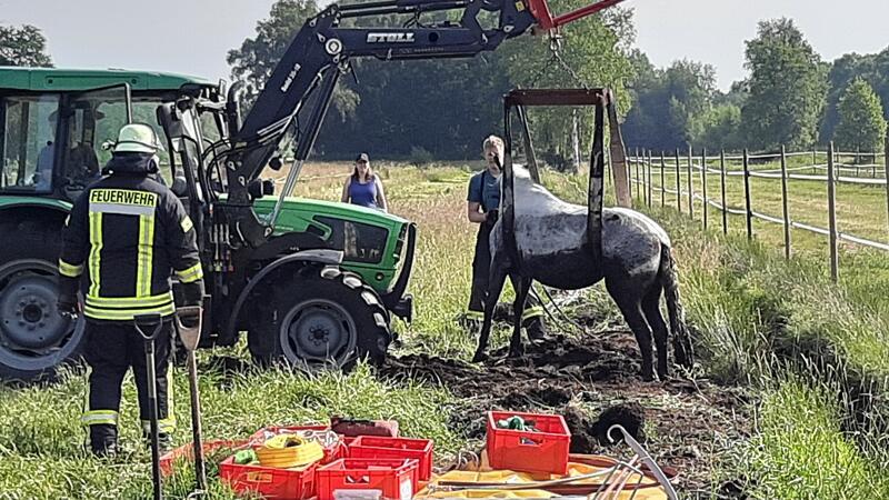 Die Großtierrettung der Freiwilligen Feuerwehr Agathenburg im Einsatz.