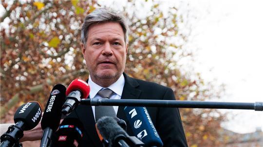 Die Grünen sind offen für einen früheren Neuwahltermin als von Scholz angestrebt.
