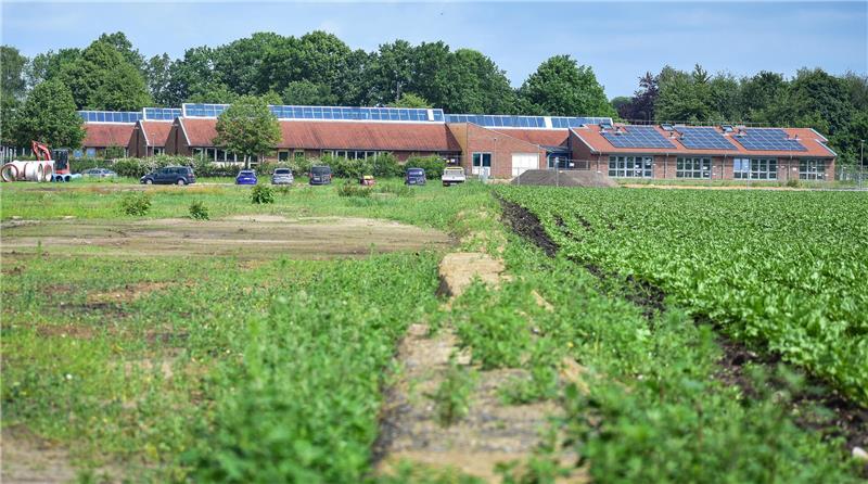 64 neue Grundstücke für Fredenbeck: Was hier ein Hausbau kostet Die Grundschule in unmittelbarer Nachbarschaft ist ein Pull-Faktor für Grundstücksinteressenten, um hier ihr trautes Heim zu bauen oder eine Wohnung zu mieten.