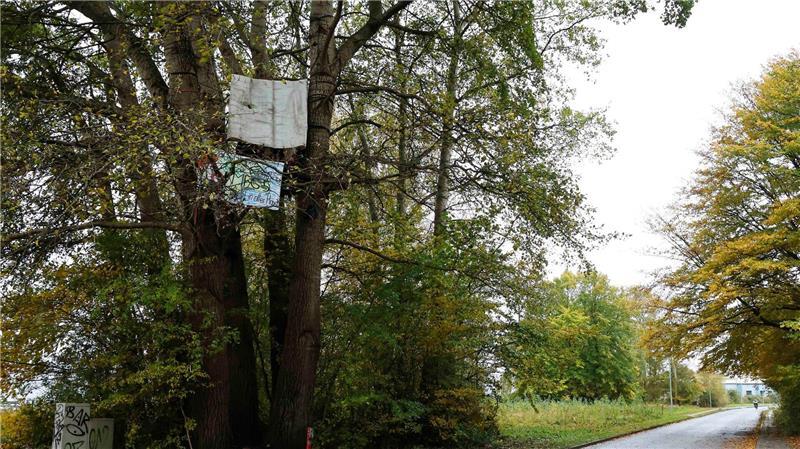 Aktivisten bauen Baumhaus auf MFG5-Gelände Die Gruppe fordert gegen den Verkauf des MFG5-Geländes an die Bundeswehr.