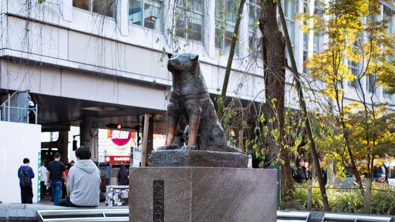 Japans berühmter Hund: Vor 100 Jahren kam Hachiko zur Welt Die Hachiko-Statue am Bahnhof Shibuya in Japans Hauptstadt Tokio.