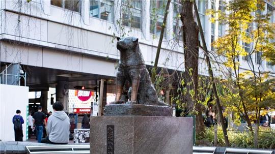 Die Hachiko-Statue am Bahnhof Shibuya in Japans Hauptstadt Tokio.